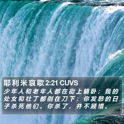 耶 利 米 哀 歌 2:21 CUVS Bible Verse Image