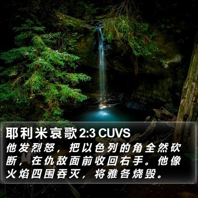 耶 利 米 哀 歌 2:3 CUVS Bible Verse Image