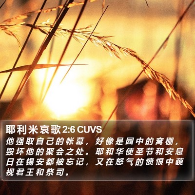 耶 利 米 哀 歌 2:6 CUVS Bible Verse Image