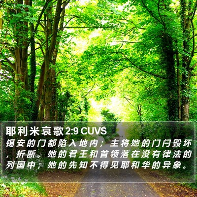 耶 利 米 哀 歌 2:9 CUVS Bible Verse Image