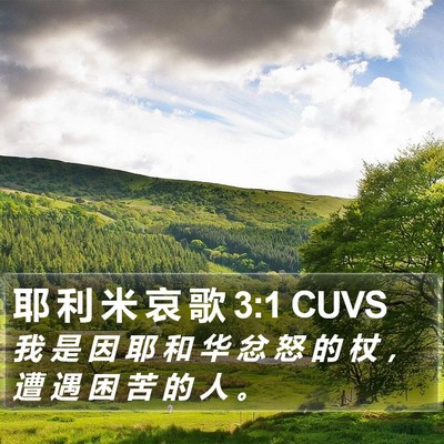 耶 利 米 哀 歌 3:1 CUVS Bible Verse Image
