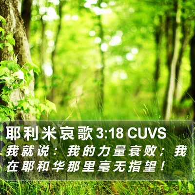 耶 利 米 哀 歌 3:18 CUVS Bible Verse Image