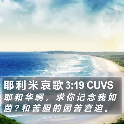 耶 利 米 哀 歌 3:19 CUVS Bible Verse Image