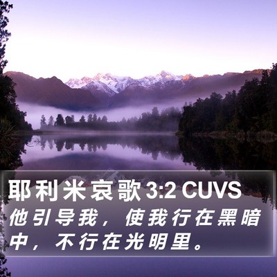 耶 利 米 哀 歌 3:2 CUVS Bible Verse Image