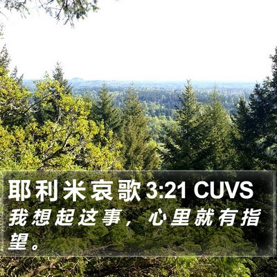 耶 利 米 哀 歌 3:21 CUVS Bible Verse Image