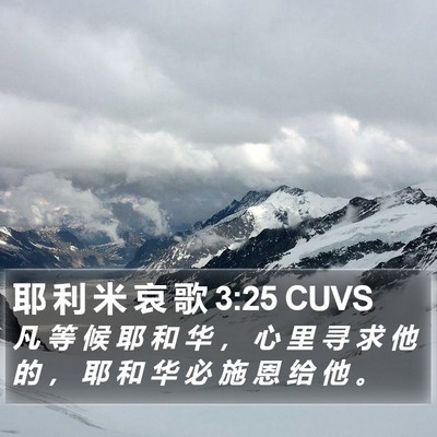 耶 利 米 哀 歌 3:25 CUVS Bible Verse Image