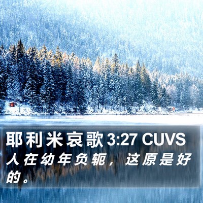 耶 利 米 哀 歌 3:27 CUVS Bible Verse Image