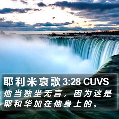 耶 利 米 哀 歌 3:28 CUVS Bible Verse Image