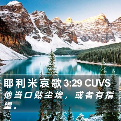 耶 利 米 哀 歌 3:29 CUVS Bible Verse Image