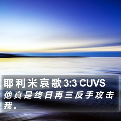 耶 利 米 哀 歌 3:3 CUVS Bible Verse Image