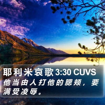 耶 利 米 哀 歌 3:30 CUVS Bible Verse Image