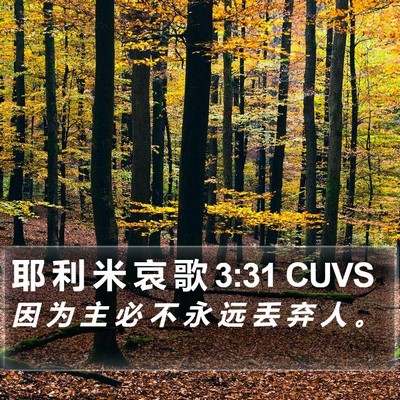 耶 利 米 哀 歌 3:31 CUVS Bible Verse Image