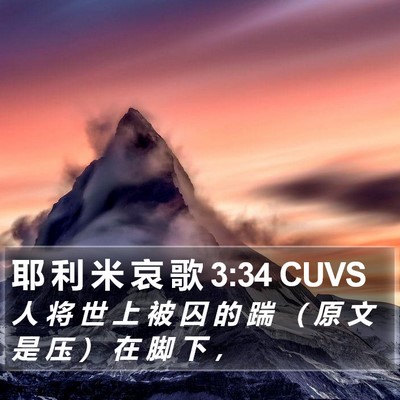 耶 利 米 哀 歌 3:34 CUVS Bible Verse Image