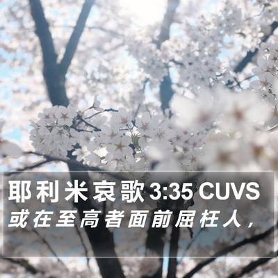 耶 利 米 哀 歌 3:35 CUVS Bible Verse Image