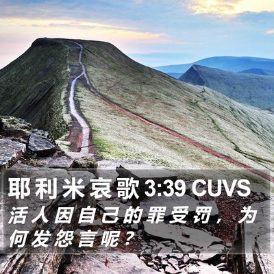 耶 利 米 哀 歌 3:39 CUVS Bible Verse Image