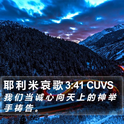 耶 利 米 哀 歌 3:41 CUVS Bible Verse Image