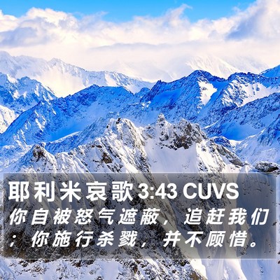 耶 利 米 哀 歌 3:43 CUVS Bible Verse Image