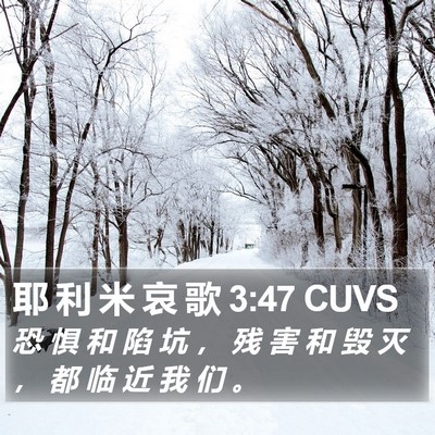 耶 利 米 哀 歌 3:47 CUVS Bible Verse Image