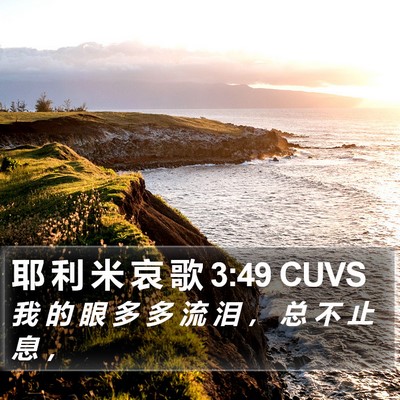 耶 利 米 哀 歌 3:49 CUVS Bible Verse Image