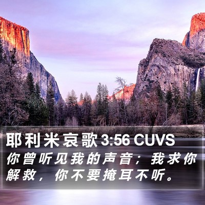 耶 利 米 哀 歌 3:56 CUVS Bible Verse Image