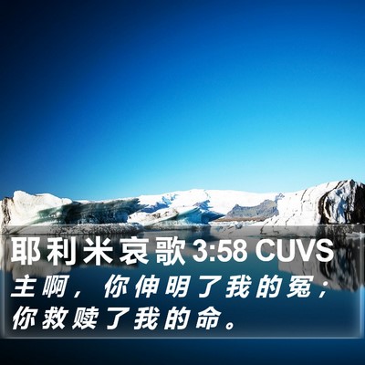 耶 利 米 哀 歌 3:58 CUVS Bible Verse Image
