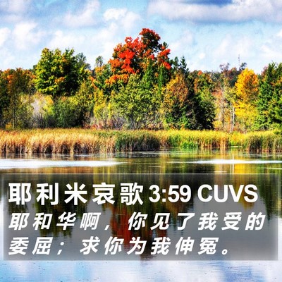 耶 利 米 哀 歌 3:59 CUVS Bible Verse Image