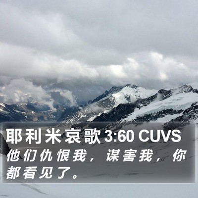 耶 利 米 哀 歌 3:60 CUVS Bible Verse Image