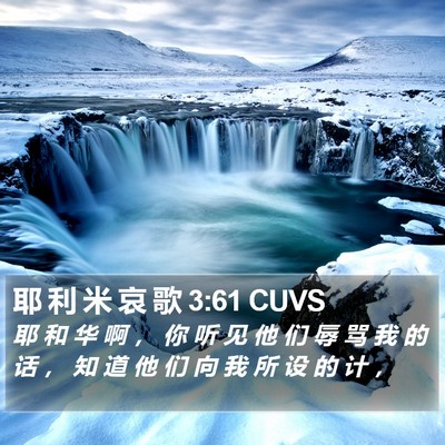 耶 利 米 哀 歌 3:61 CUVS Bible Verse Image