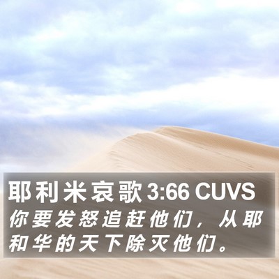 耶 利 米 哀 歌 3:66 CUVS Bible Verse Image