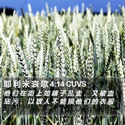 耶 利 米 哀 歌 4:14 CUVS Bible Verse Image