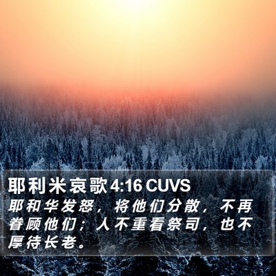 耶 利 米 哀 歌 4:16 CUVS Bible Verse Image