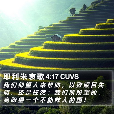 耶 利 米 哀 歌 4:17 CUVS Bible Verse Image