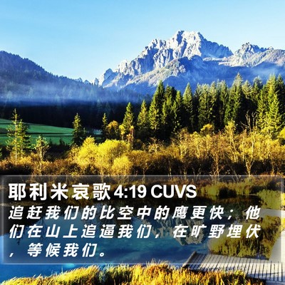 耶 利 米 哀 歌 4:19 CUVS Bible Verse Image