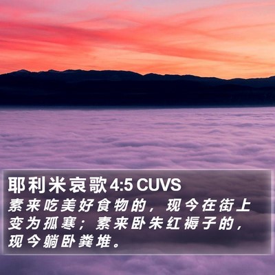 耶 利 米 哀 歌 4:5 CUVS Bible Verse Image