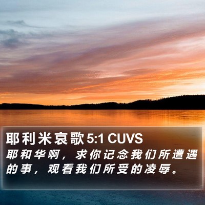 耶 利 米 哀 歌 5:1 CUVS Bible Verse Image