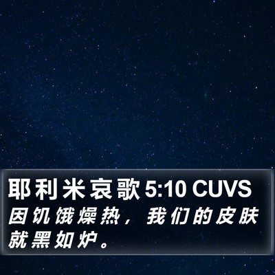 耶 利 米 哀 歌 5:10 CUVS Bible Verse Image