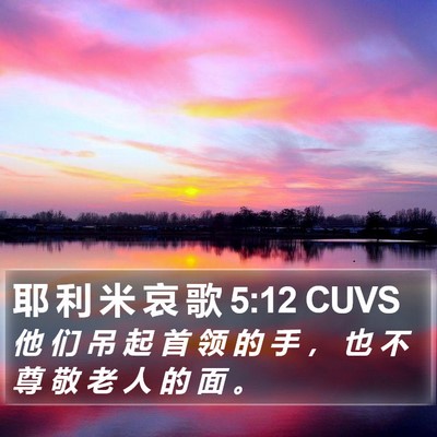 耶 利 米 哀 歌 5:12 CUVS Bible Verse Image
