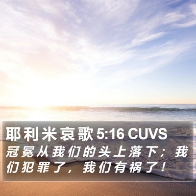 耶 利 米 哀 歌 5:16 CUVS Bible Verse Image