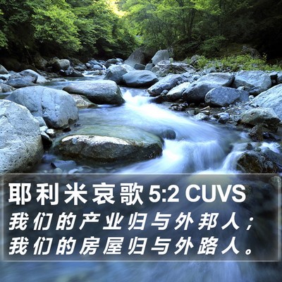 耶 利 米 哀 歌 5:2 CUVS Bible Verse Image