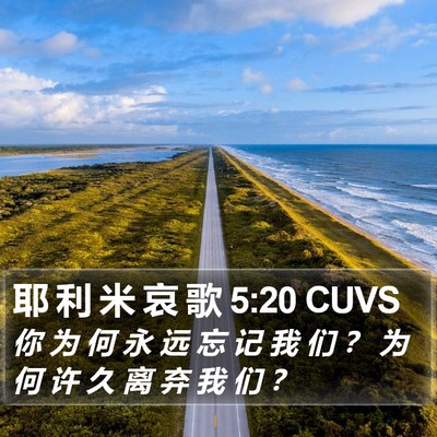 耶 利 米 哀 歌 5:20 CUVS Bible Verse Image