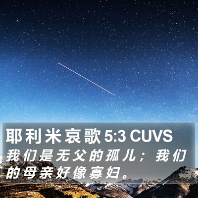 耶 利 米 哀 歌 5:3 CUVS Bible Verse Image