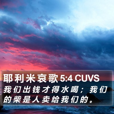 耶 利 米 哀 歌 5:4 CUVS Bible Verse Image