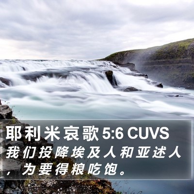 耶 利 米 哀 歌 5:6 CUVS Bible Verse Image