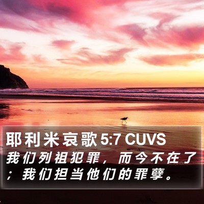 耶 利 米 哀 歌 5:7 CUVS Bible Verse Image