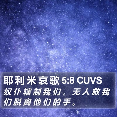 耶 利 米 哀 歌 5:8 CUVS Bible Verse Image