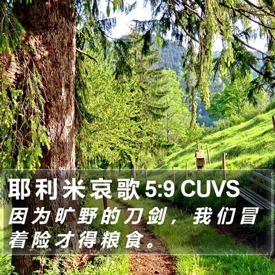 耶 利 米 哀 歌 5:9 CUVS Bible Verse Image
