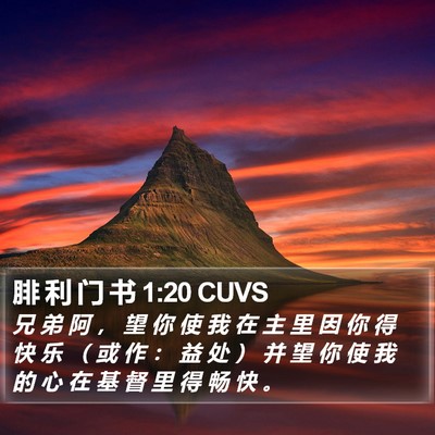 腓 利 门 书 1:20 CUVS Bible Verse Image