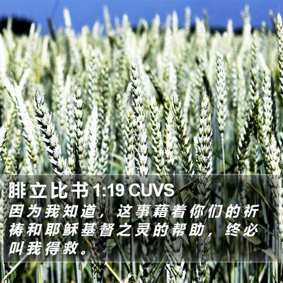 腓 立 比 书 1:19 CUVS Bible Verse Image