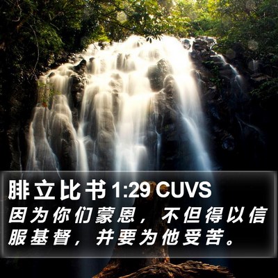 腓 立 比 书 1:29 CUVS Bible Verse Image