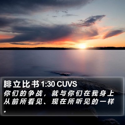 腓 立 比 书 1:30 CUVS Bible Verse Image